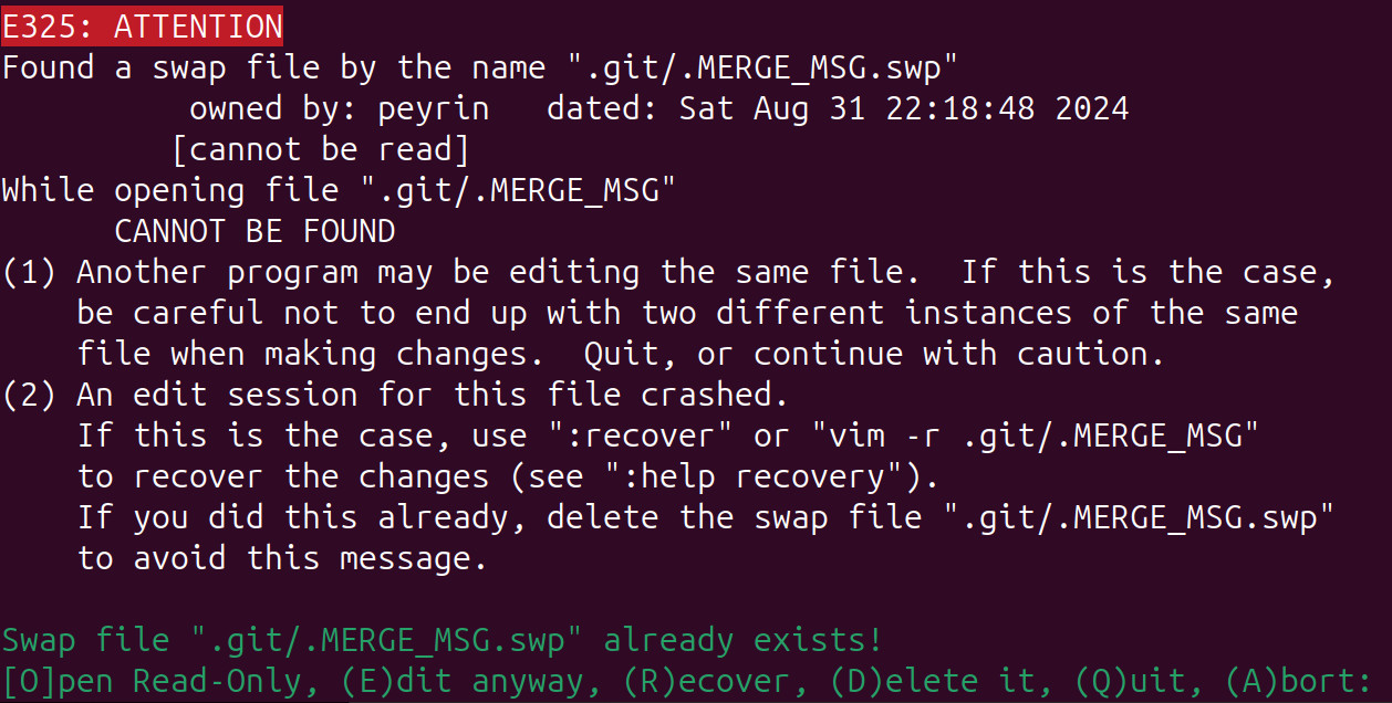 Git swapfile warning